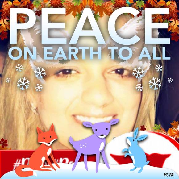 Meet your Posher, Griselda - Picture 1 of 1